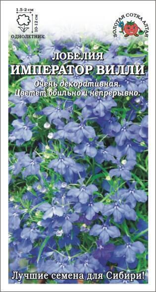 Купить оптом в Ботанике семена Лобелия Император Вилли ЗС бренд Золотая сотка