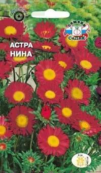 Купить оптом в Ботанике семена Астра Нина Сед бренд СеДеК
