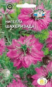 Купить оптом в Ботанике семена Нигелла Шахеризада Сед бренд СеДеК