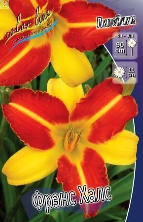 Купить оптом в Ботанике Лилейник Фрэнс Халс 25 шт