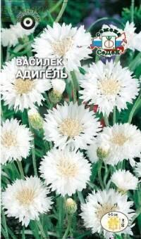 Купить оптом в Ботанике семена Василек Адигель белоснежный Сед бренд СеДеК