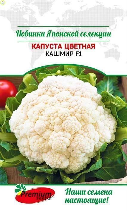 Купить оптом в Ботанике семена Капуста цветная Кашмир F1 ПС бренд Премиум Сидс