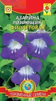 Купить оптом в Ботанике семена Азарина Лазающая фиолетовая Плз бренд Плазмас