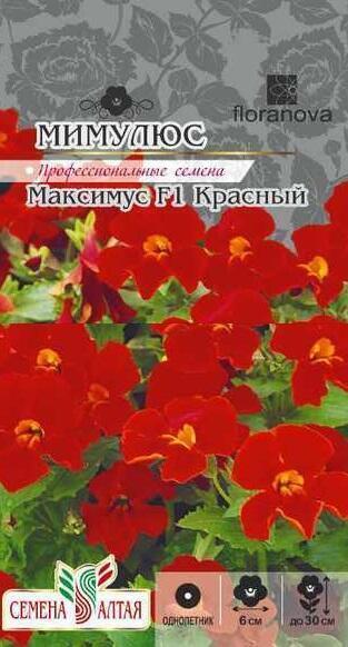 Купить оптом в Ботанике семена Мимулюс Максимус красный СА бренд Семена Алтая