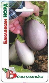 Купить оптом в Ботанике семена Баклажан Норд Био бренд Биотехника