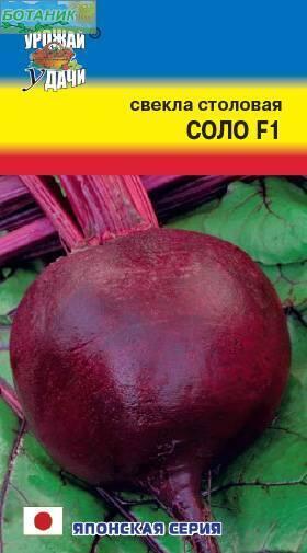 Купить оптом в Ботанике семена Свекла Соло F1 УУ бренд Урожай Удачи