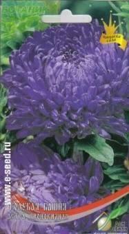 Купить оптом в Ботанике семена Астра Голубая Башня пионовидная ССО бренд Сортсемовощ