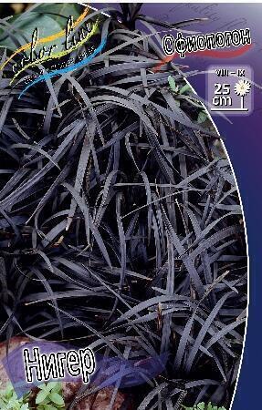 Купить оптом в Ботанике Офиопогон Нигер 2 шт