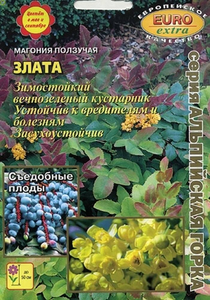Купить оптом в Ботанике семена Магония Злата ползучая Аэл бренд Аэлита