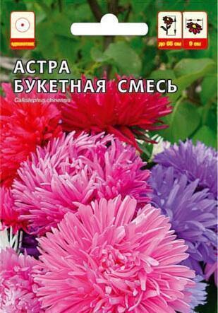 Купить оптом в Ботанике семена Астра Букетная смесь СА бренд Семена Алтая