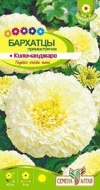 Купить оптом в Ботанике семена Бархатцы Килиманджаро СА бренд Семена Алтая