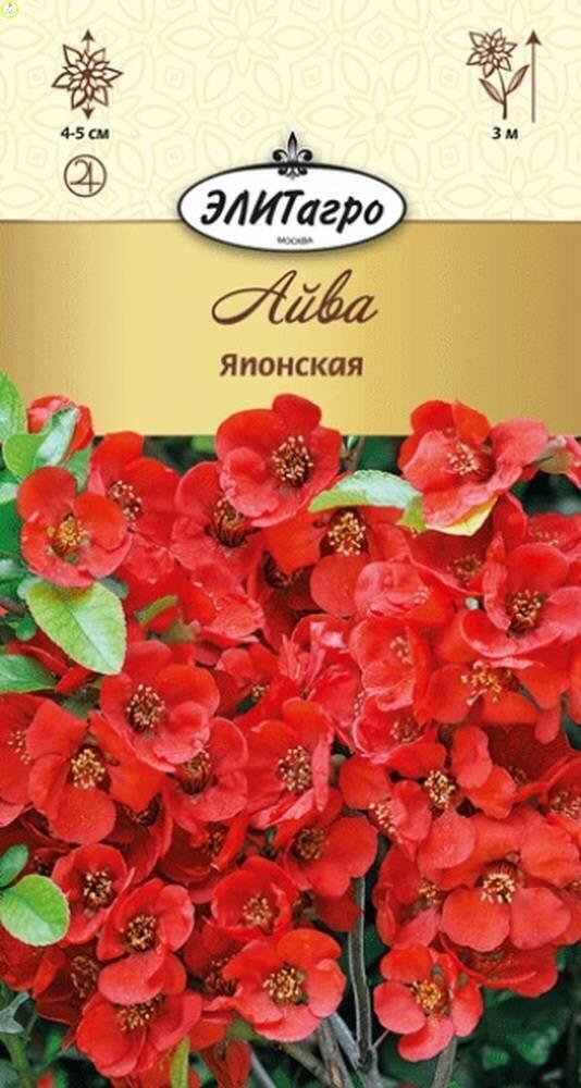 Купить оптом в Ботанике семена Айва Японская Аэл бренд Аэлита