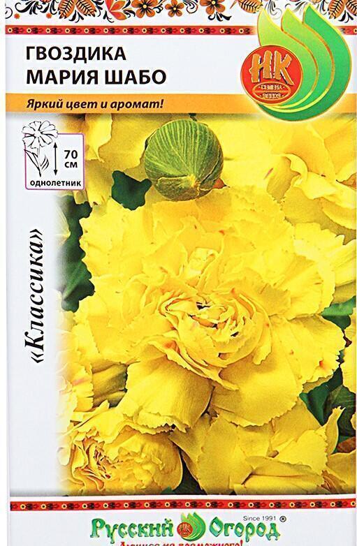 Купить оптом в Ботанике семена Гвоздика шабо Мария НК бренд НК