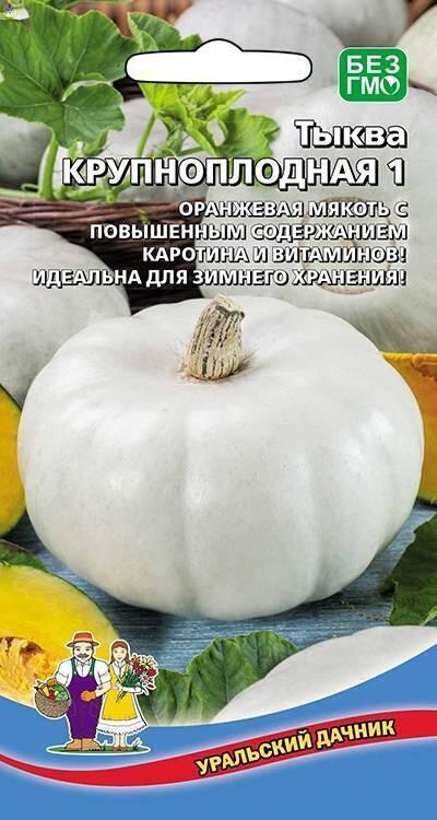 Купить оптом в Ботанике семена Тыква Крупноплодная 1 УД бренд Уральский дачник