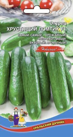 Купить оптом в Ботанике семена Огурец Хрустящий ломтик F1 УД бренд Уральский дачник