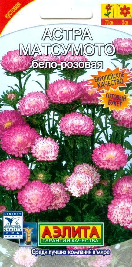Купить оптом в Ботанике семена Астра Матсумото бело-розовая Аэл бренд Аэлита