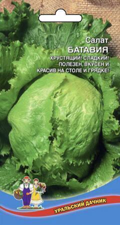 Купить оптом в Ботанике семена Салат Батавия УД бренд Уральский дачник