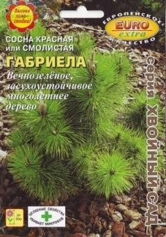Купить оптом в Ботанике семена Сосна Габриела красная БП Аэл бренд Аэлита