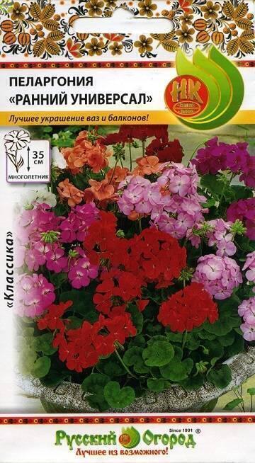 Купить оптом в Ботанике семена Пеларгония Ранний Универсал НК бренд НК