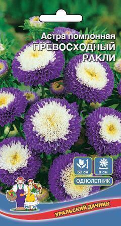 Купить оптом в Ботанике семена Астра Превосходный Ракли УД бренд Уральский дачник