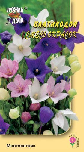 Купить оптом в Ботанике семена Платикодон Смесь окрасок УУ бренд Урожай Удачи