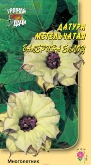 Купить оптом в Ботанике семена Датура Балерина еллоу метельчатая УУ бренд Урожай Удачи