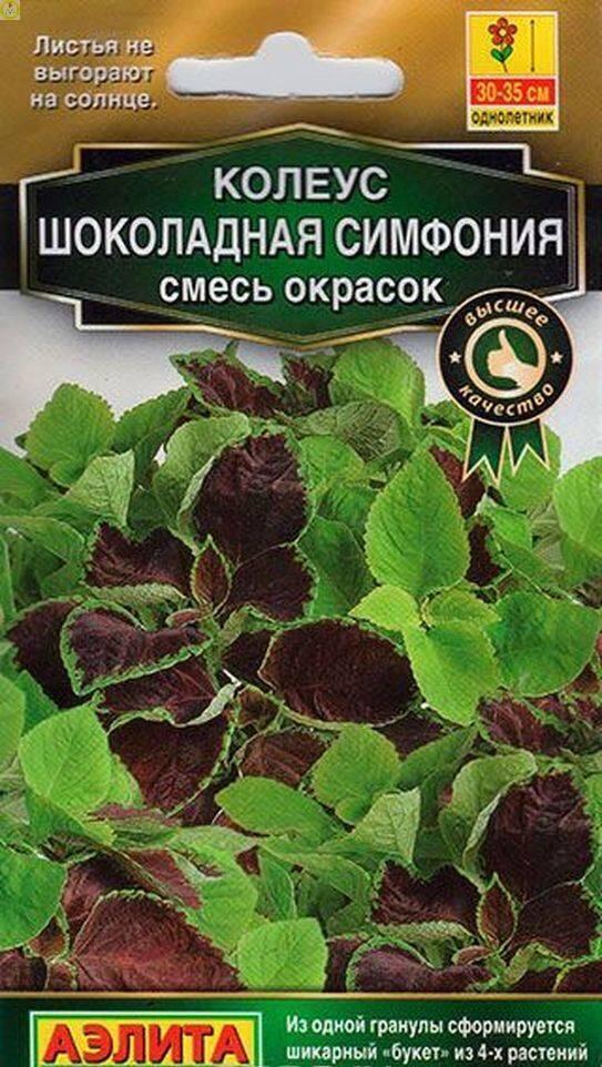 Купить оптом в Ботанике семена Колеус Шоколадная симфония Аэл бренд Аэлита