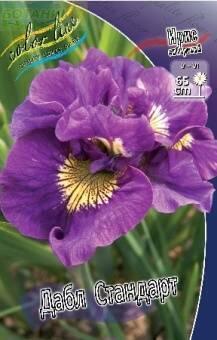 Купить оптом в Ботанике Ирис Дабл Стандарт сибирский 1 шт