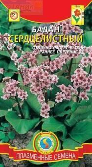 Купить оптом в Ботанике семена Бадан Сердцелистный Плз бренд Плазмас