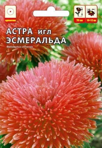 Купить оптом в Ботанике семена Астра Игл Эсмиральда СА бренд Семена Алтая