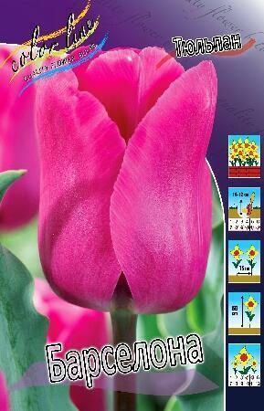 Купить оптом в Ботанике Тюльпан Барселона 10 шт