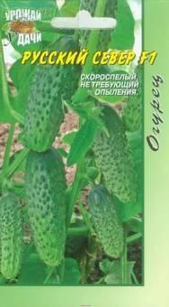 Купить оптом в Ботанике семена Огурец Русский север F1 УУ бренд Урожай Удачи