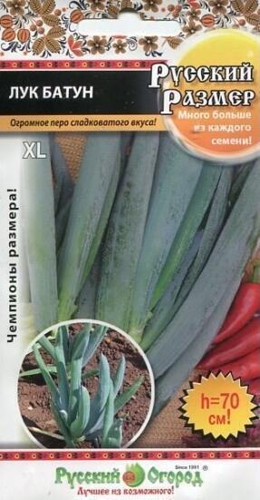 Купить оптом в Ботанике семена Лук батун Русский Размер НК бренд НК