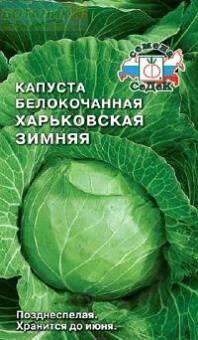 Купить оптом в Ботанике семена Капуста белокочанная Харьковская зимняя Сед бренд СеДеК