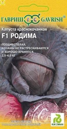 Купить оптом в Ботанике семена Капуста краснокочанная Родима F1 Гав бренд Гавриш