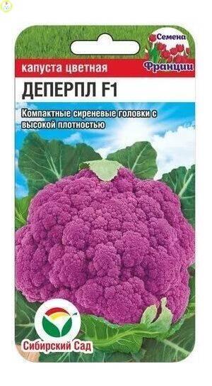 Купить оптом в Ботанике семена Капуста цветная Деперпл СС бренд Сиб.сад