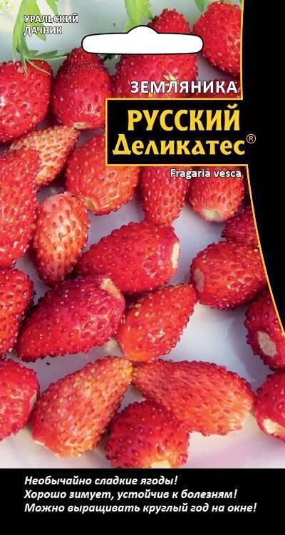 Купить оптом в Ботанике семена Земляника Русский деликатес УД бренд Уральский дачник