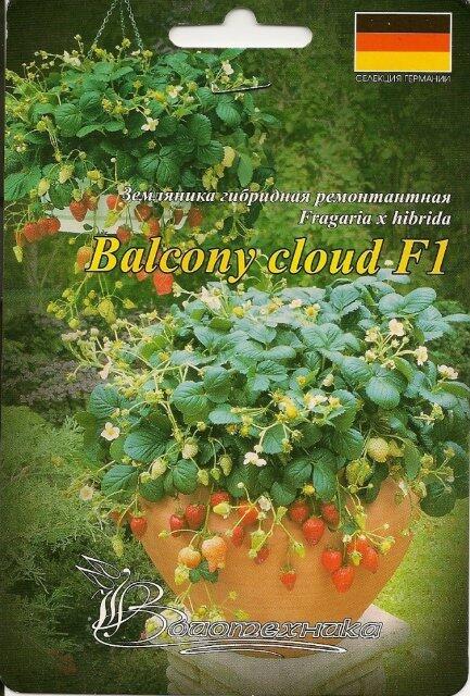 Купить оптом в Ботанике семена Земляника Балкони Клуд F1 Био бренд Биотехника