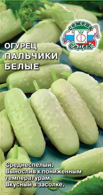 Купить оптом в Ботанике семена Огурец Пальчики Белые Сед бренд СеДеК