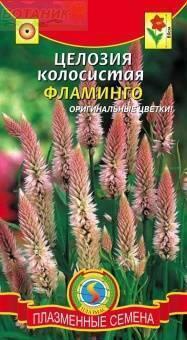 Купить оптом в Ботанике семена Целозия Фламинго Плз бренд Плазмас