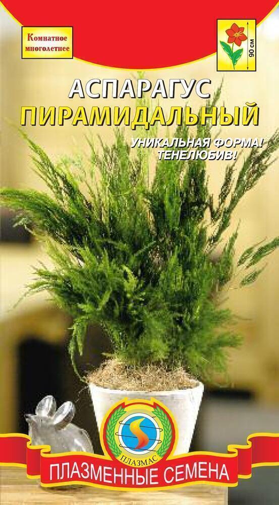 Купить оптом в Ботанике семена Аспарагус Пирамидальный Плз бренд Плазмас