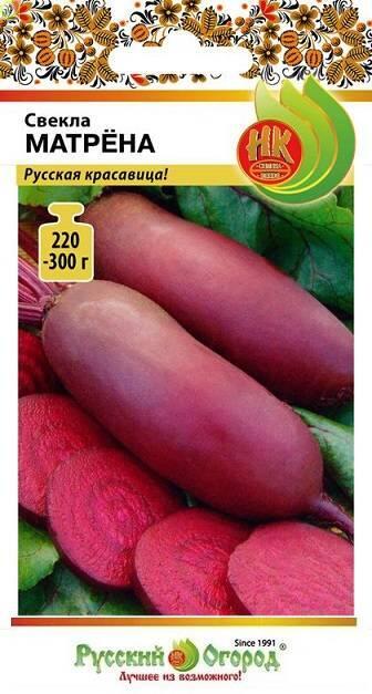 Купить оптом в Ботанике семена Свекла Матрена НК бренд НК