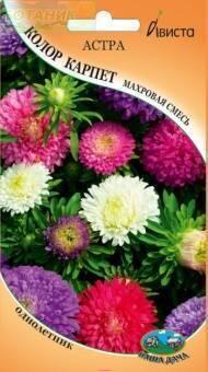 Купить оптом в Ботанике семена Астра Колор карпет Ав бренд Ависта