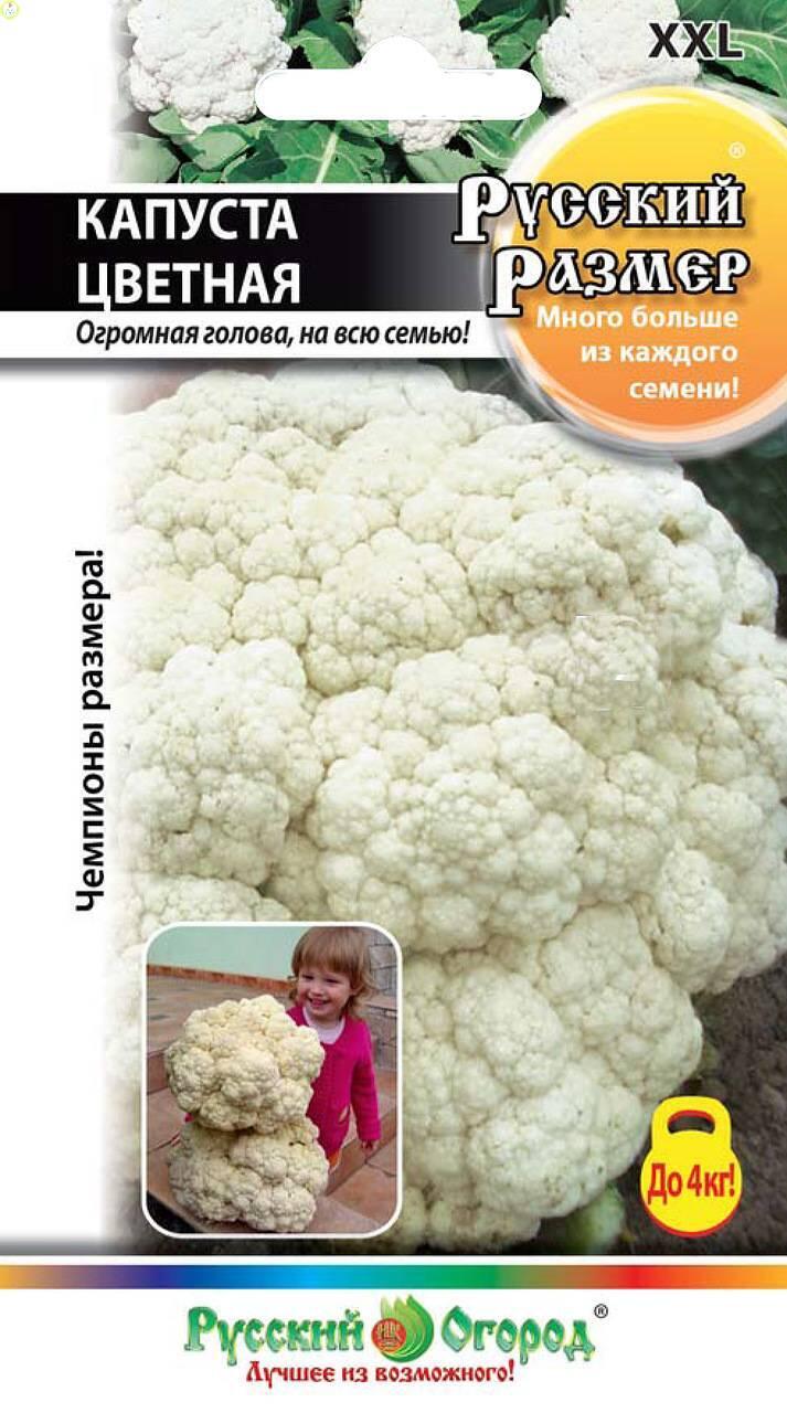 Купить оптом в Ботанике семена Капуста цветная Русский размер НК бренд НК