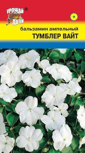 Купить оптом в Ботанике семена Бальзамин Тумблер вайт ампельный УУ бренд Урожай Удачи