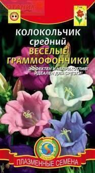 Купить оптом в Ботанике семена Колокольчик Веселые граммофончики средний Плз бренд Плазмас