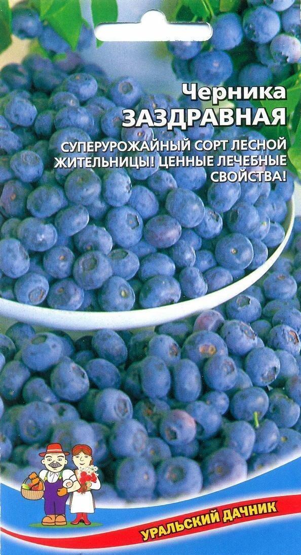 Купить оптом в Ботанике семена Черника Заздравная УД бренд Уральский дачник