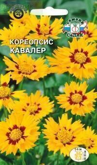 Купить оптом в Ботанике семена Кореопсис Кавалер ланцетовидный Сед бренд СеДеК