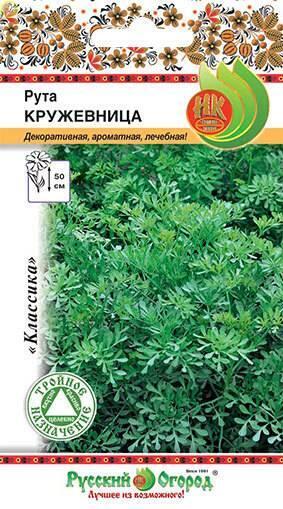 Купить оптом в Ботанике семена Рута Кружевница НК бренд НК