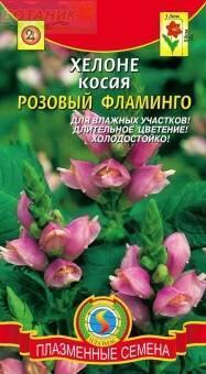 Купить оптом в Ботанике семена Хелоне Розовый фламинго Плз бренд Плазмас